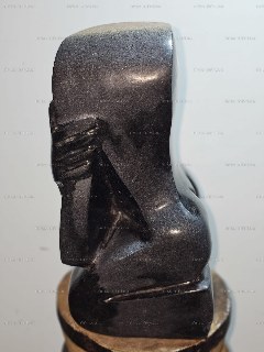 Image 31