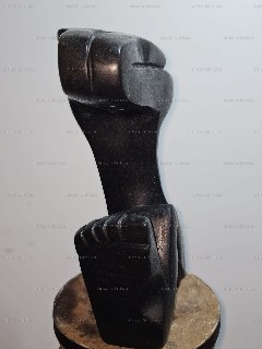 Image 29