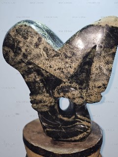 Image 20
