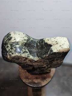 Image 24